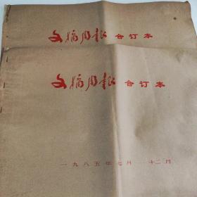 《四川日报文摘周报》 1985年1月4日--12月27日 223--274期 (全年)《文摘周刊》 两大本合售