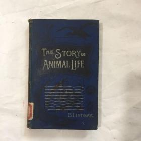 The Story Of ANIMAL LIFE《动物生活的故事》 精装袖珍本 外文古旧书 民国老外文书 1902年版