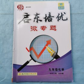 启东培优微专题--九年级化学