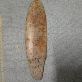 骨简