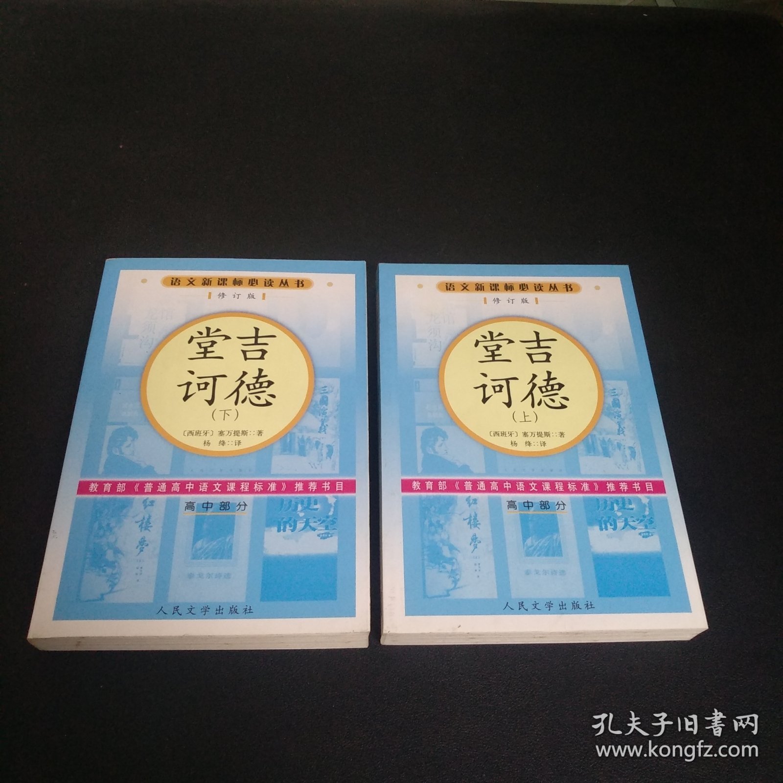 语文新课标必读丛书：堂吉诃德（上下）修订版