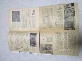 电影介绍（1980年1～12期）