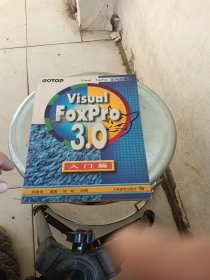 Visual FoxPro 3.0入门篇