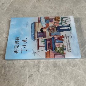 再见男孩丁小点