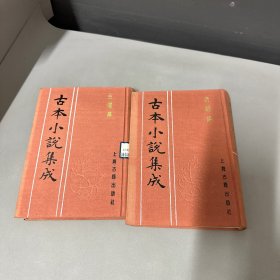古本小说集成 金钟传上下 自然老化黄斑不影响阅读