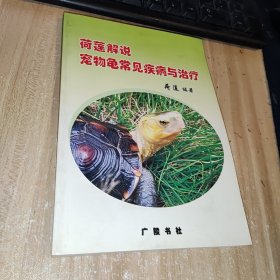 荷莲解说宠物龟常见疾病与治疗