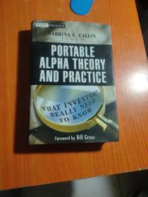 Portable Alpha Theory and Practice