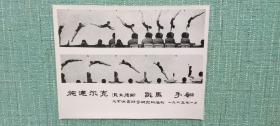 施达尔克（德国）跳马手翻技术分析  1965年北京体育科学研究所摄制 照片长20厘米宽15厘米