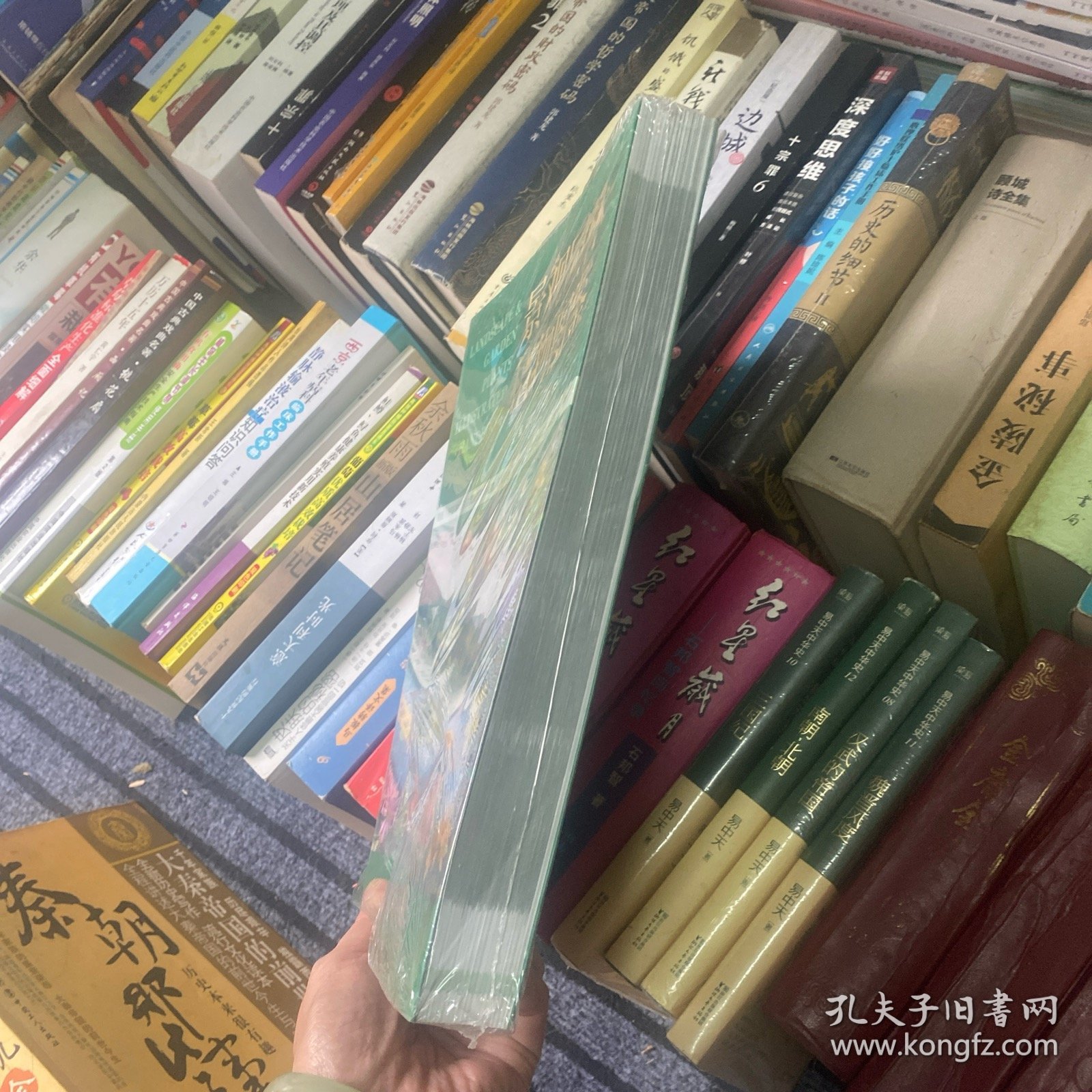 景观园林植物图鉴
