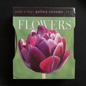 flowers gallery calendar 2016 每日日历 鲜花 狗狗