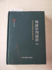 杨浦审判前沿2021【布面精装】