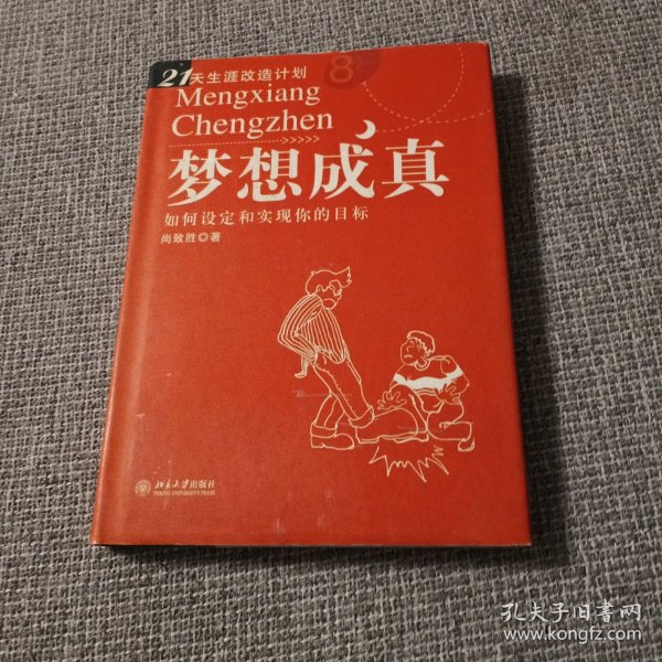 梦想成真：如何设定和实现你的目标