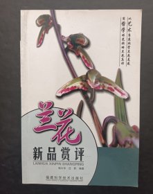 兰花新品赏评
