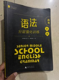 黑皮英语系列：英语语法分层强化训练（高考）