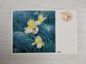 中国邮政明信片 黄鸢尾图案 贺卡