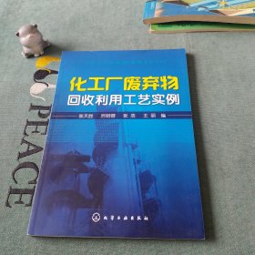 化工厂废弃物回收利用工艺实例