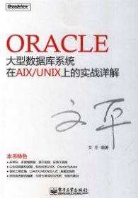 Oracle大型数据库系统在AIX/UNIX上的实战详解