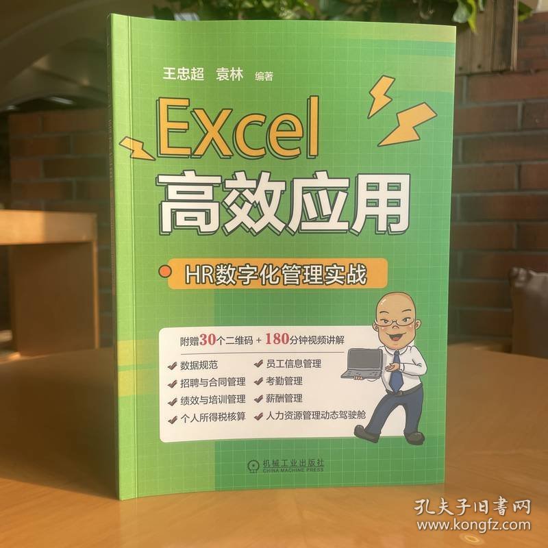 Excel高效应用：HR数字化管理实战 9787111725213