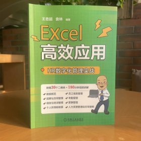 Excel高效应用：HR数字化管理实战 9787111725213