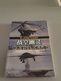 战空幽灵：世界现役无人机大观