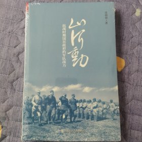 山河动：抗战时期国民政府的军队战力