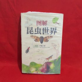 圖解昆蟲世界