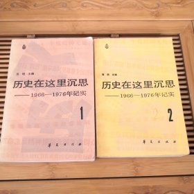 历史在这里沉思—1966—1976年记实1,2【2册合售】（有水印脏印霉印，品如图不影响阅读）