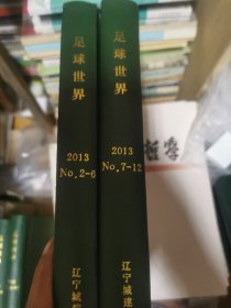 足球世界2013/2-12