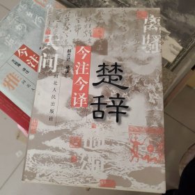 楚辞今注今译