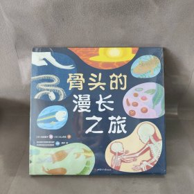 骨头的漫长之旅