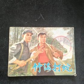 连环画  竹海打蛇