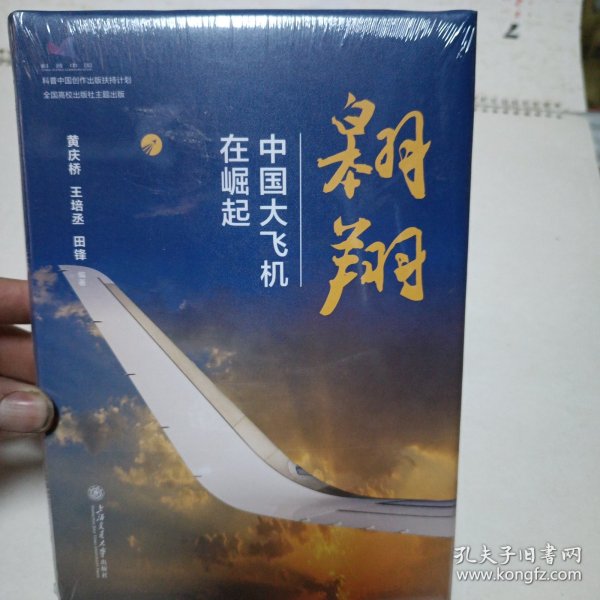 翱翔：中国大飞机在崛起