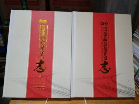 河南高速公路发展有限责任公司志 上下
