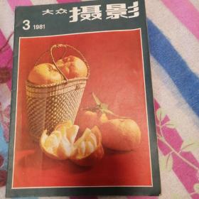 大众摄影 1981年第3期 海鸥DF照相机闪光同步的正确使用（江洁臣）