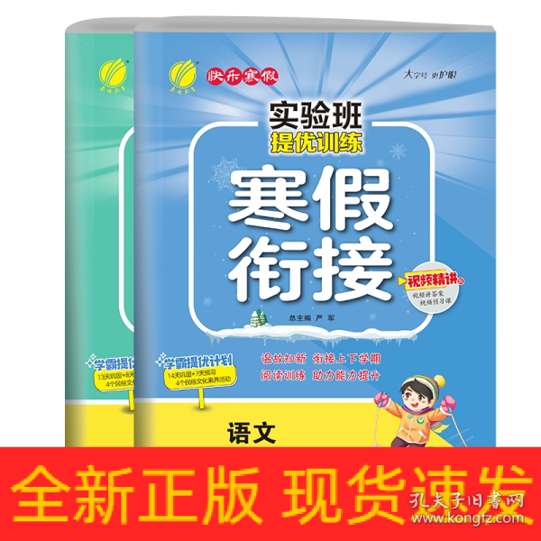 实验班提优训练寒假衔接版 六年级数学苏教版 2023年新版衔接上下册学期提优训练每日一练寒假作业本视频精讲强化基础专项练习册