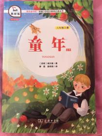 童年（六年级上册教材版）/快乐读书吧·统编小学语文教材必读丛书