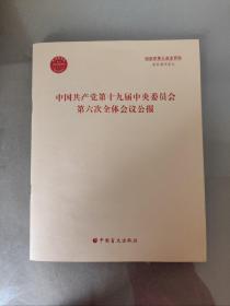 盲文版 中国共产党第十九届中央委员会第六次全体会议公报