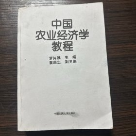 中國(guó)經(jīng)濟(jì)學(xué)教程
