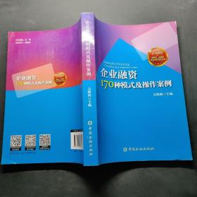 企业融资170种模式与操作案例