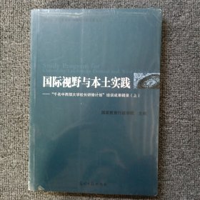 国际视野与本土实践 上册