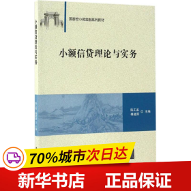 小额信贷理论与实务