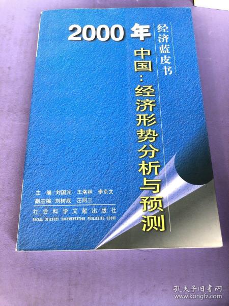 2000年中国：经济形势分析与预测