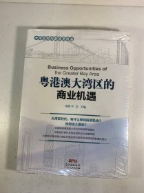 粤港澳大湾区的商业机遇
