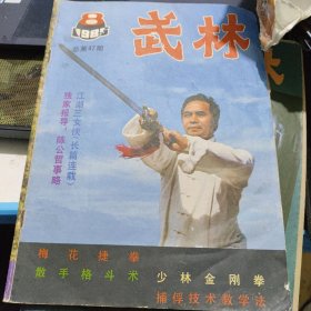 武林杂志 1985年第8期1985 8 不缺页南拳普及套路第六路 下少林金刚拳 上八极拳 中 南拳散手组合练习 等经典内容