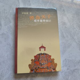 苦命天子：咸丰皇帝