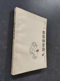 杳杳神京路