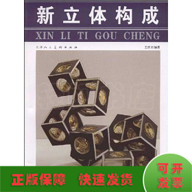 新立體構(gòu)成
