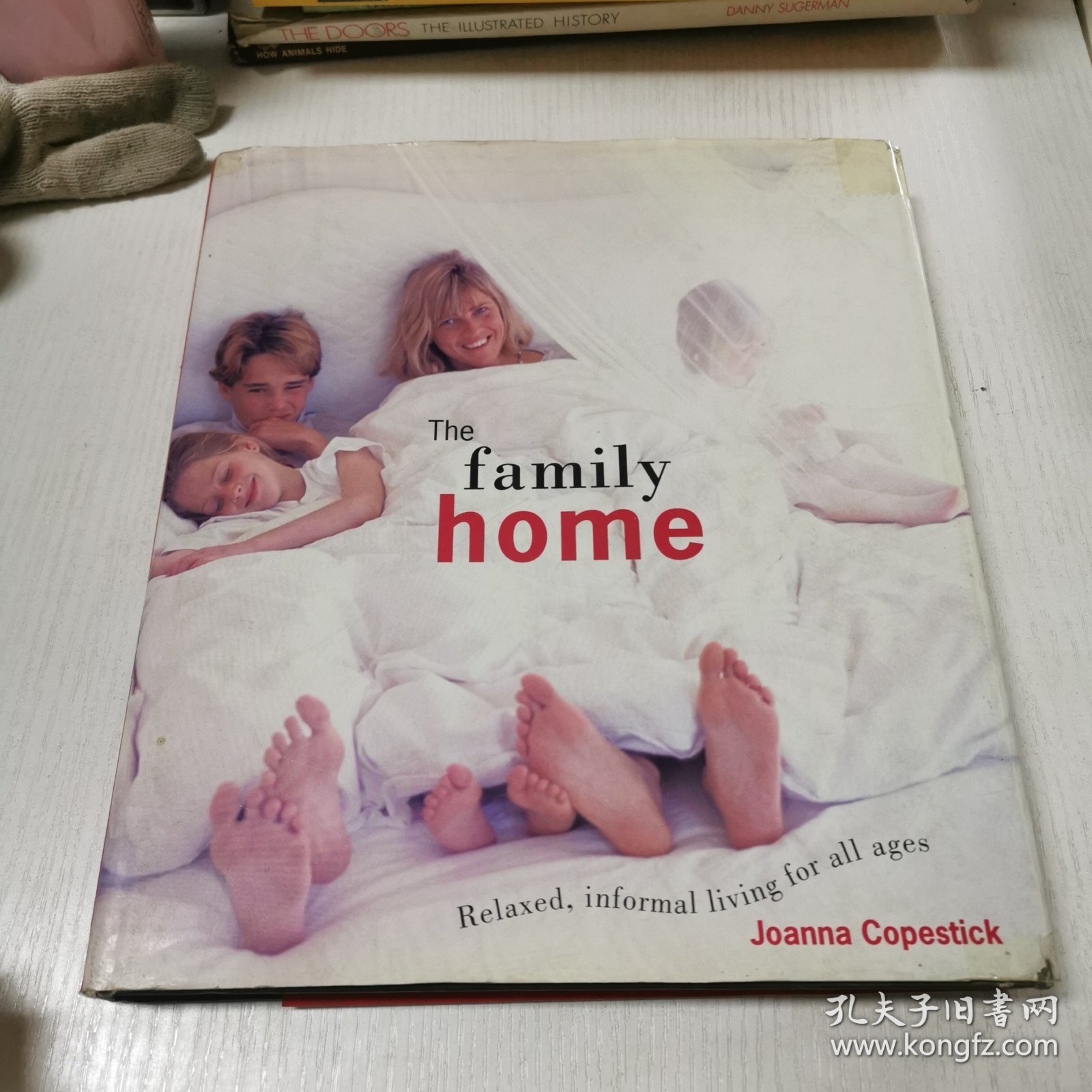 英文原版Thefamily home Relaxed, informal living for all ages 总是会回家 适合所有年龄层的轻松、非正式的生活方式