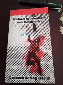 德文原版书籍 德语原版书 Michael Widenhain zum beispielk浙大科技德语中心资料室藏书