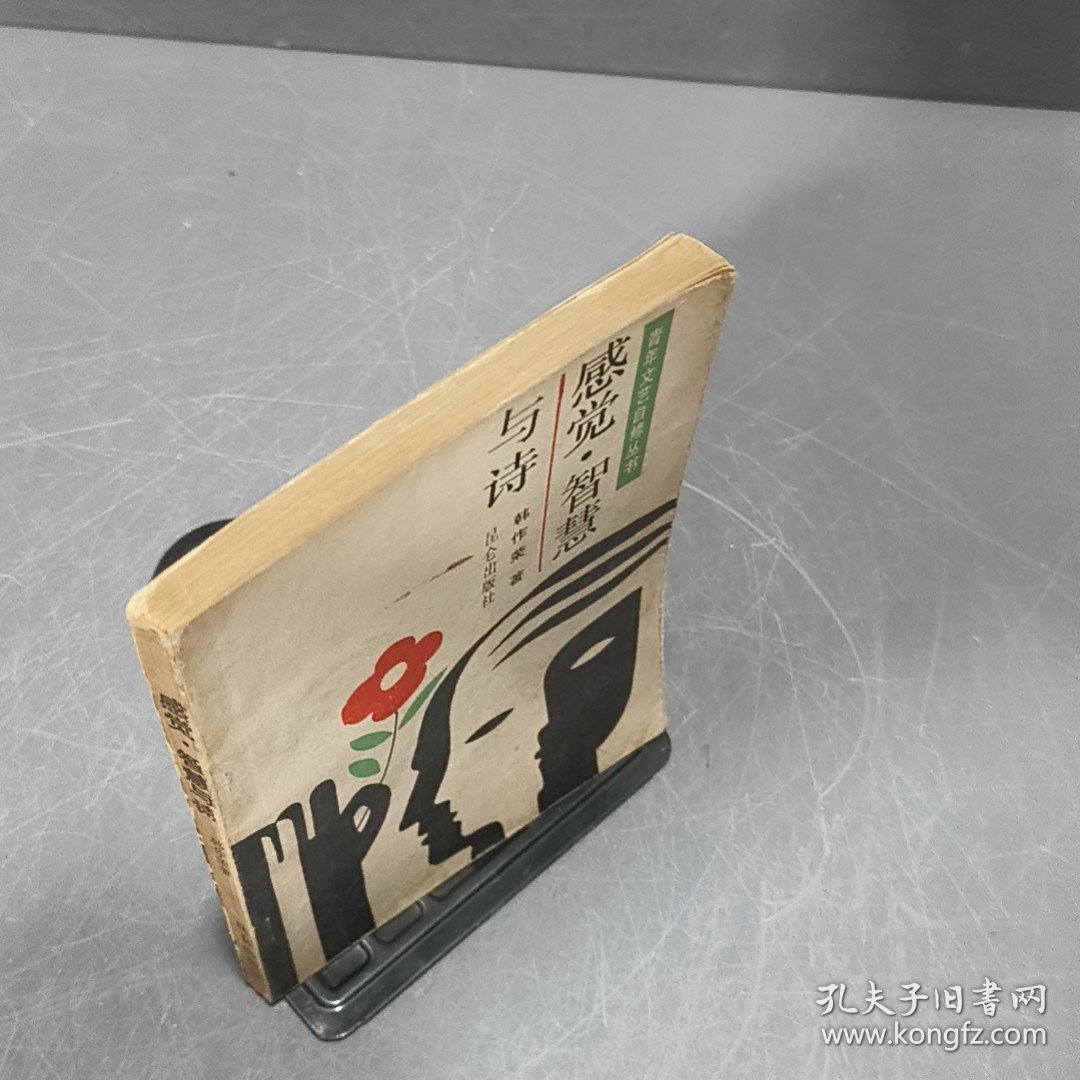 感觉 智慧与诗